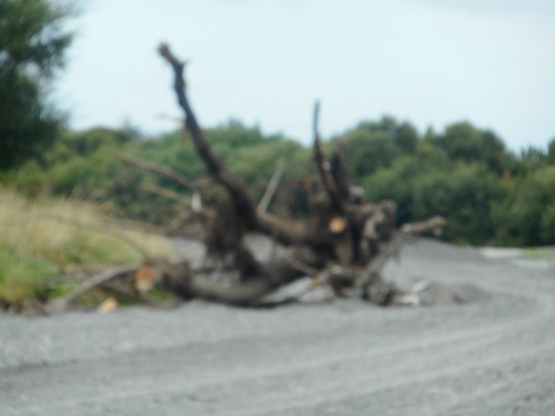 DSCN2050.JPG