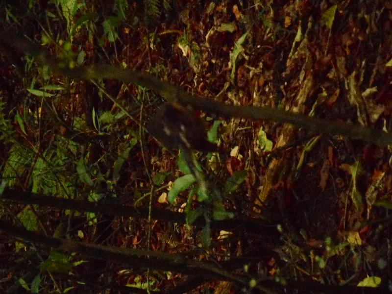 DSCN2065.JPG