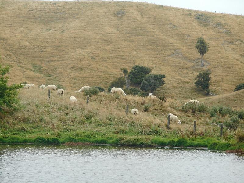DSCN2075.JPG