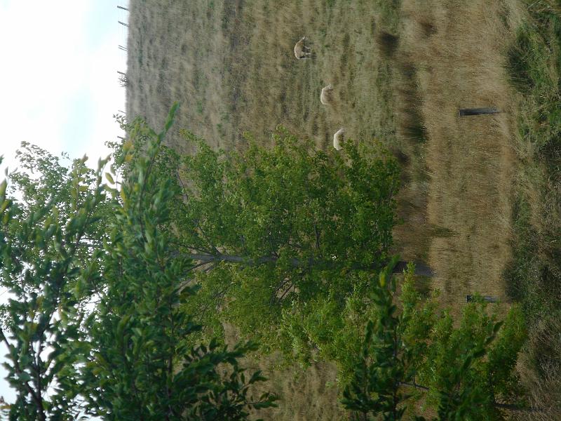 DSCN2076.JPG