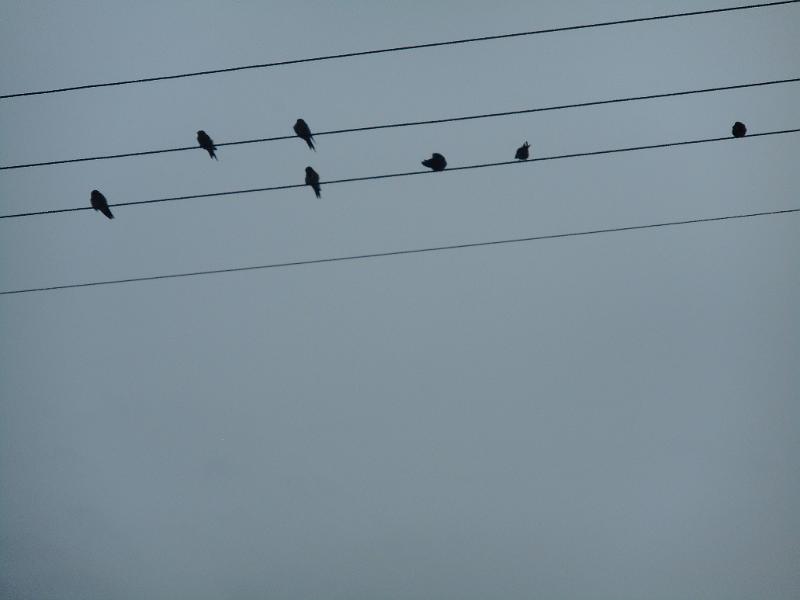 DSCN2079.JPG