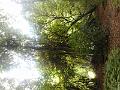 DSCN2057