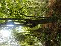 DSCN2058