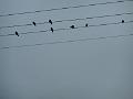 DSCN2079