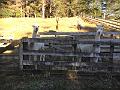 IMG_2992