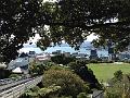 IMG_0651
