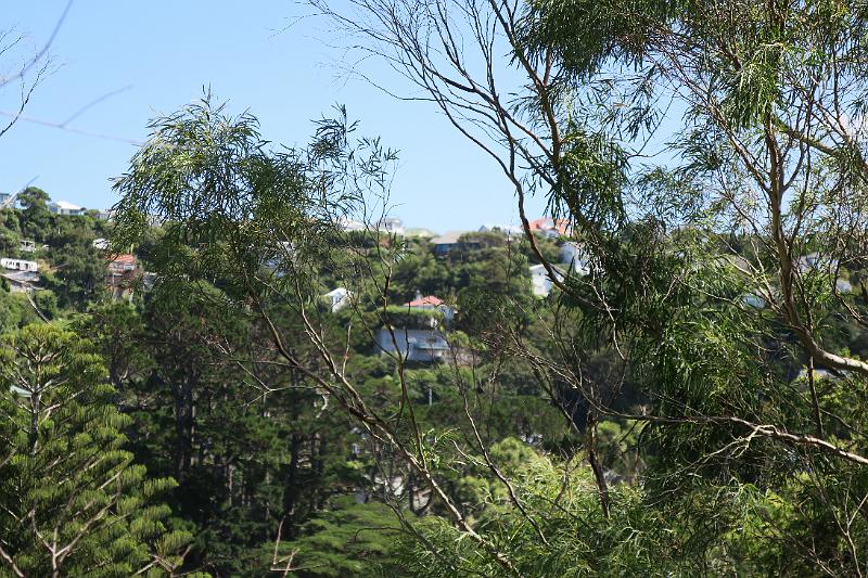IMG_8048.JPG