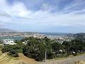 IMG_0726