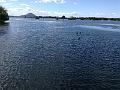 IMG_0752