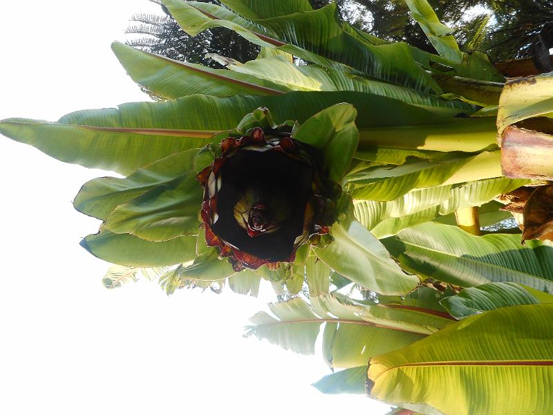 DSCN2378.JPG
