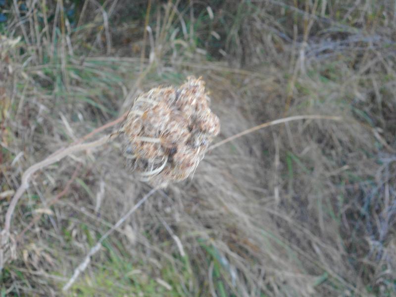 DSCN2382.JPG