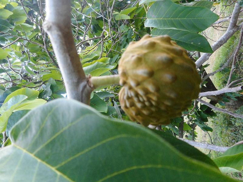 DSCN2384.JPG