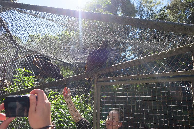 IMG_8377.JPG