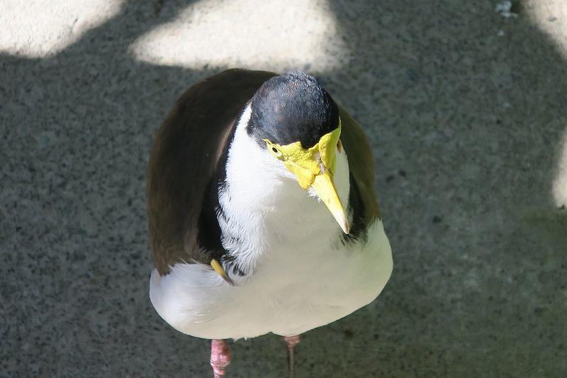 IMG_8382.JPG