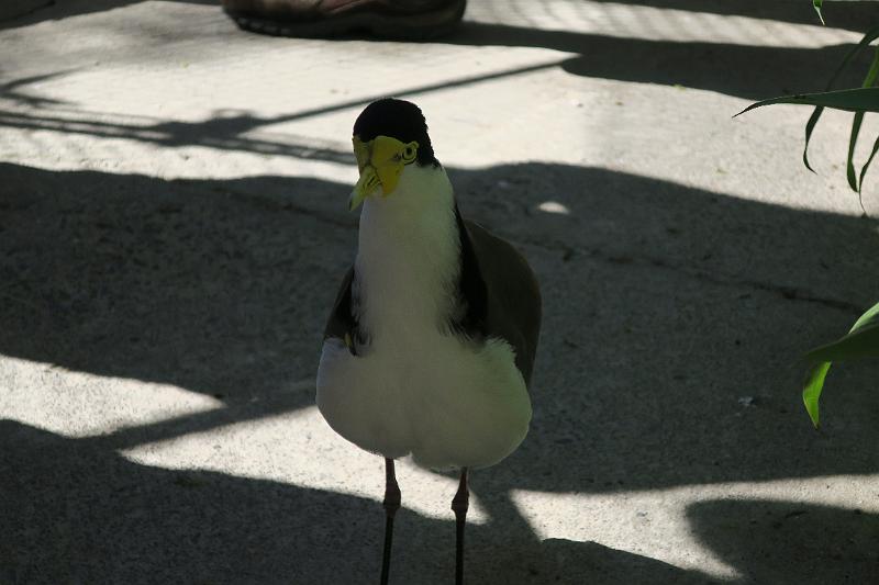 IMG_8384.JPG