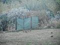 DSCN2387