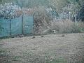 DSCN2388