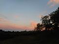DSCN2390