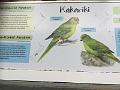 IMG_3342