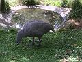 IMG_3351