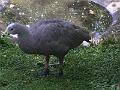 IMG_3352