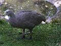 IMG_3353