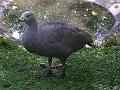 IMG_3354