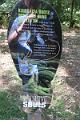 IMG_8342