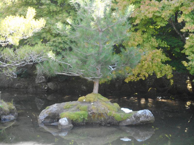 DSCN2409.JPG