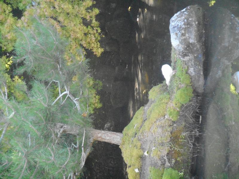 DSCN2410.JPG