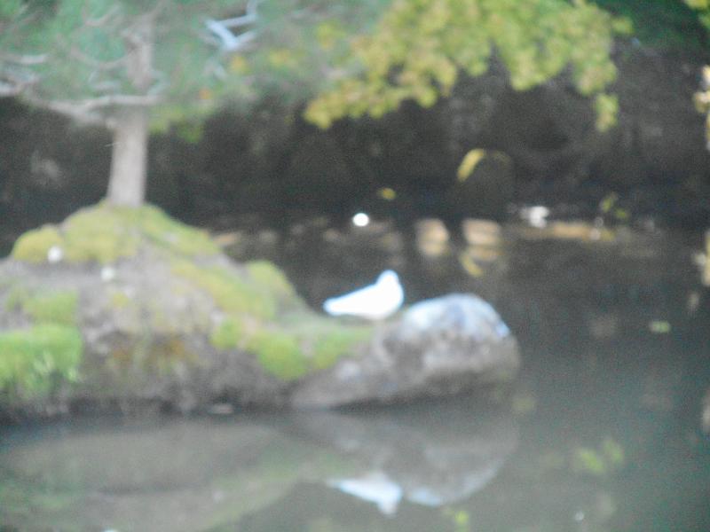 DSCN2411.JPG
