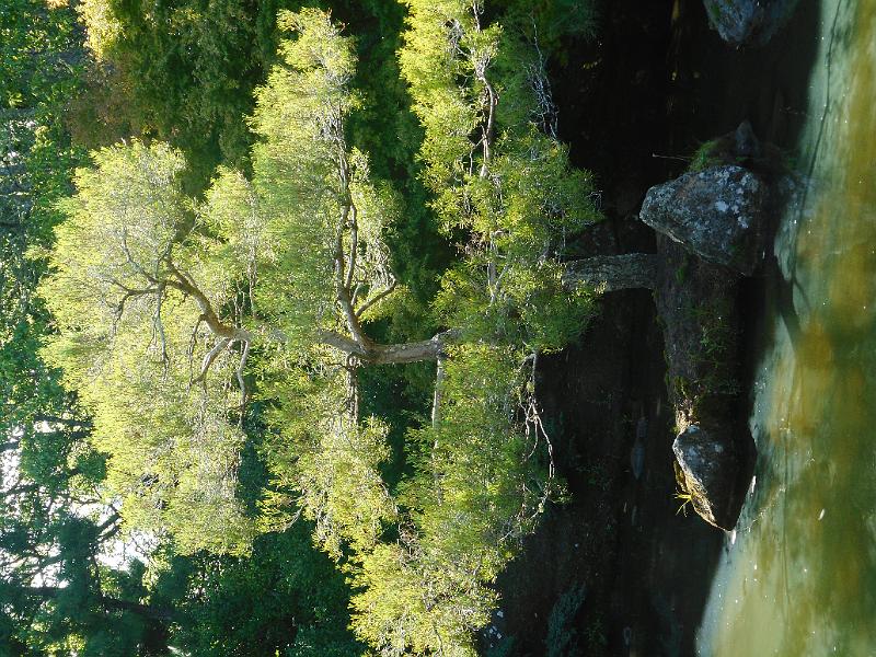DSCN2413.JPG