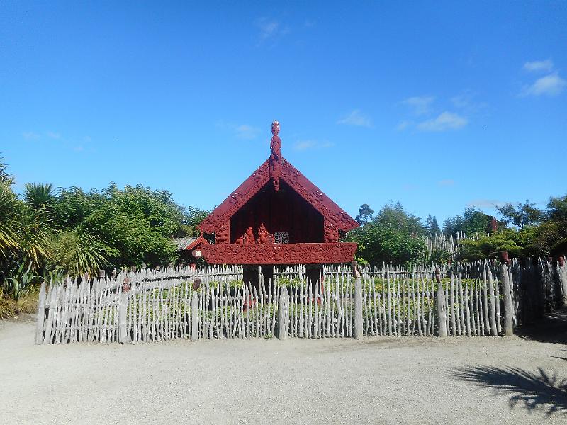 DSCN2429.JPG