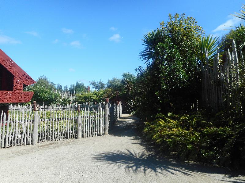 DSCN2431.JPG