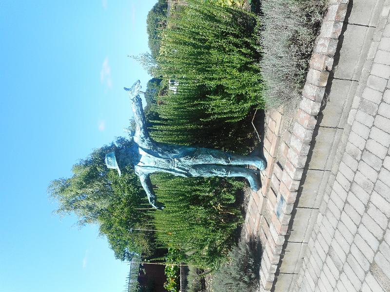 DSCN2460.JPG