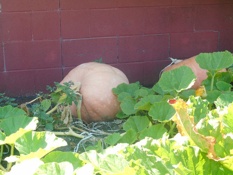 DSCN2461.JPG