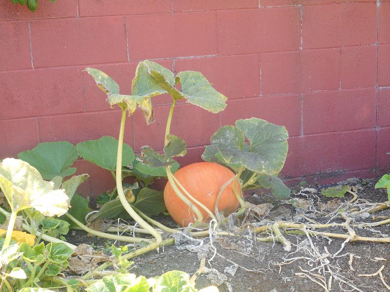 DSCN2462.JPG