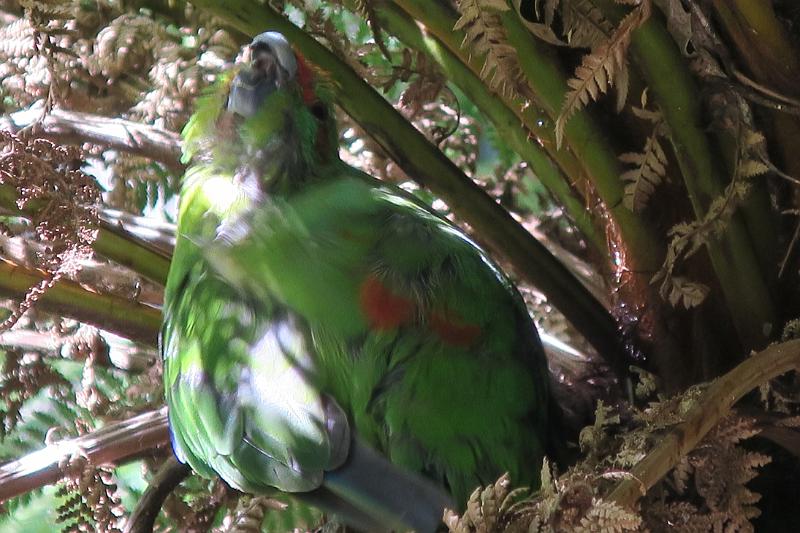 IMG_8412.JPG