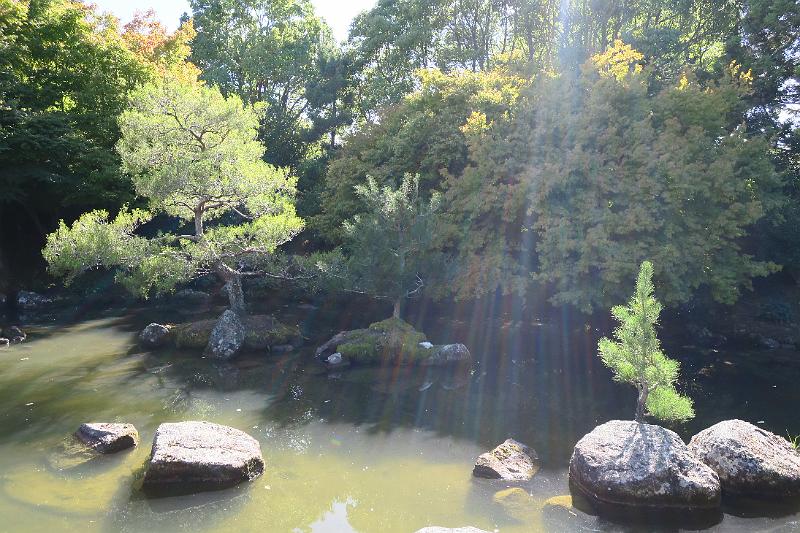 IMG_8541.JPG