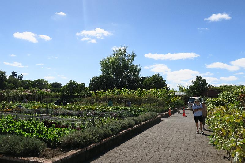 IMG_8606.JPG