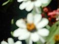 DSCN2404