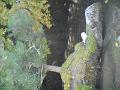 DSCN2410