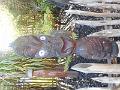 DSCN2434