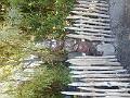 DSCN2435