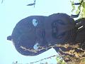 DSCN2441