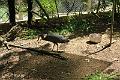 IMG_8420