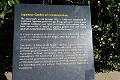 IMG_8538