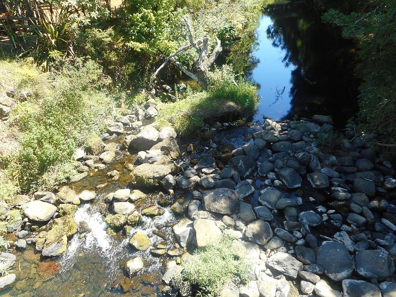 DSCN2499.JPG