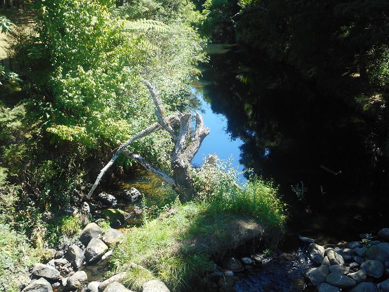 DSCN2502.JPG