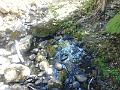DSCN2484